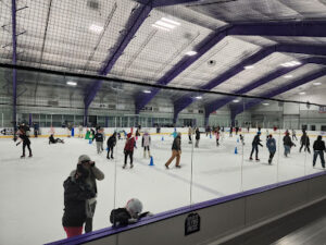 Martha’s Vineyard Figure Skating Club logo