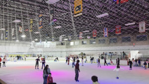 Miami Figure Skating Club logo