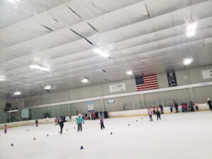New England Skating Club logo