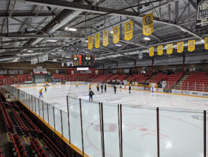 Northern Lights Palace Arena logo