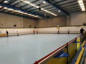 Penrith Skatel logo