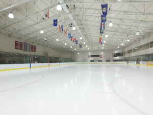Skating Club of Southeastern Michigan logo