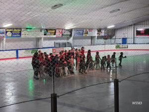 The Alexandria Bay Figure Skating Club logo